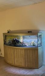 Aquarium aqualantis 2meter (hout), Dieren en Toebehoren, Ophalen, Gebruikt