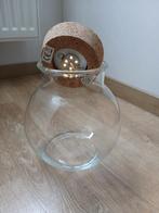 TERRARIUM POUR PLANTES EN PARFAIT ÉTAT AVEC ÉCLAIRAGE, Enlèvement ou Envoi