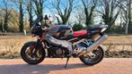 Aprilia Tuono // 1000cc // 2009, Motoren, 2 cilinders, Motorrijbewijs A, Particulier, Naked bike