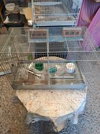 Cage d'élevage pour oiseaux, Animaux & Accessoires, Enlèvement, Cage d'élevage
