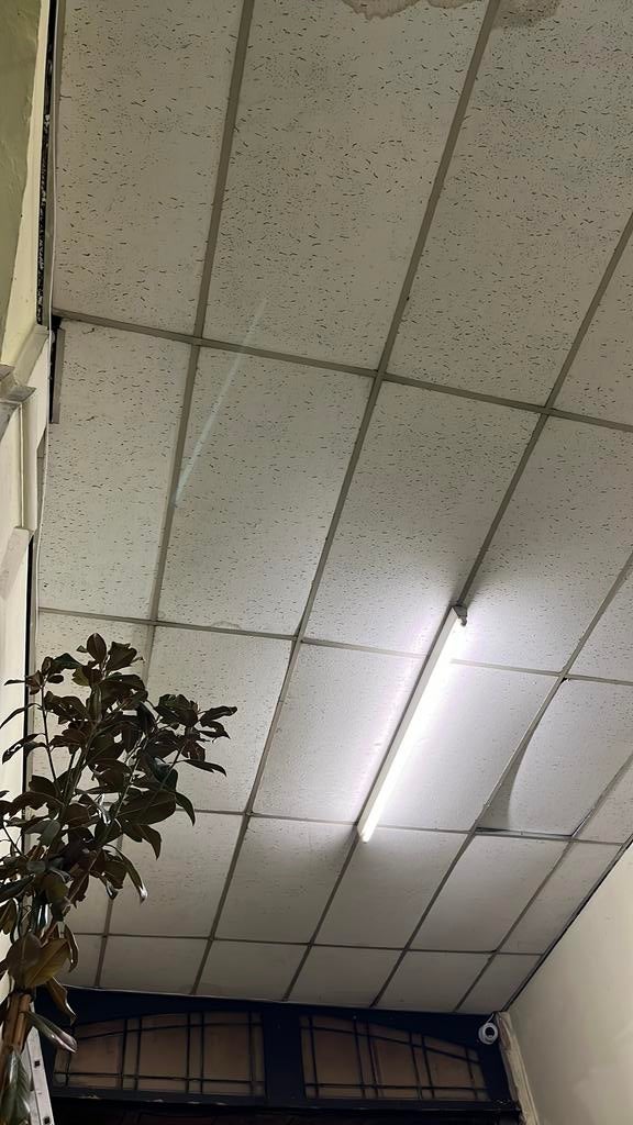 Circa 25m2 plafondplaten met metalen framewerk, Ophalen, Zo goed als nieuw