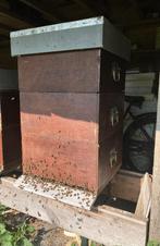 Bijenvolken met kast te koop, Abeilles