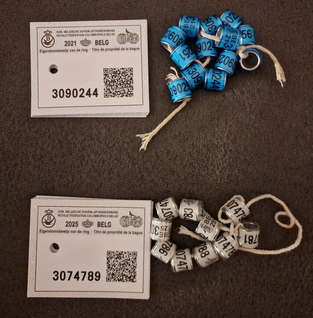 Duivenringen 2021 en 2025, Dieren en Toebehoren, Meerdere dieren, Postduif