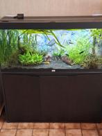 aquatlantis volga 240, Dieren en Toebehoren, Ophalen, Zo goed als nieuw, Gevuld zoetwateraquarium