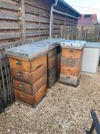 bijenkasten, Dieren en Toebehoren, Insecten en Spinnen, Bijen