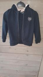 Vestje, Kinderen en Baby's, Kinderkleding | Maat 104, Ophalen of Verzenden