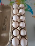 Dendrmonde.  0,50, Ophalen of Verzenden