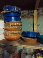 Duiven een 10 tal zitkapen en 10 tal mestborden gratis, Animaux & Accessoires, Oiseaux | Pigeons