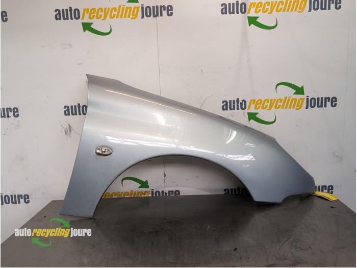 Scherm rechts-voor van een Peugeot 206 (EYL), Gebruikt, -, -, -