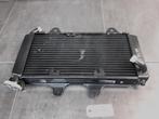 RC125 2014 - 2019 KTM Radiator D1-60156
