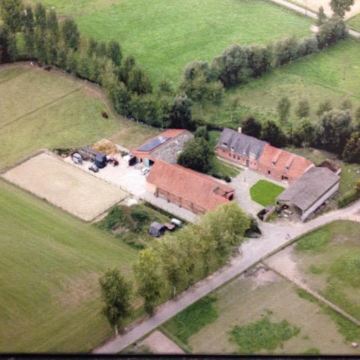 Pensionstalling met veel wandelmogelijkheden, Dieren en Toebehoren, Stalling en Weidegang