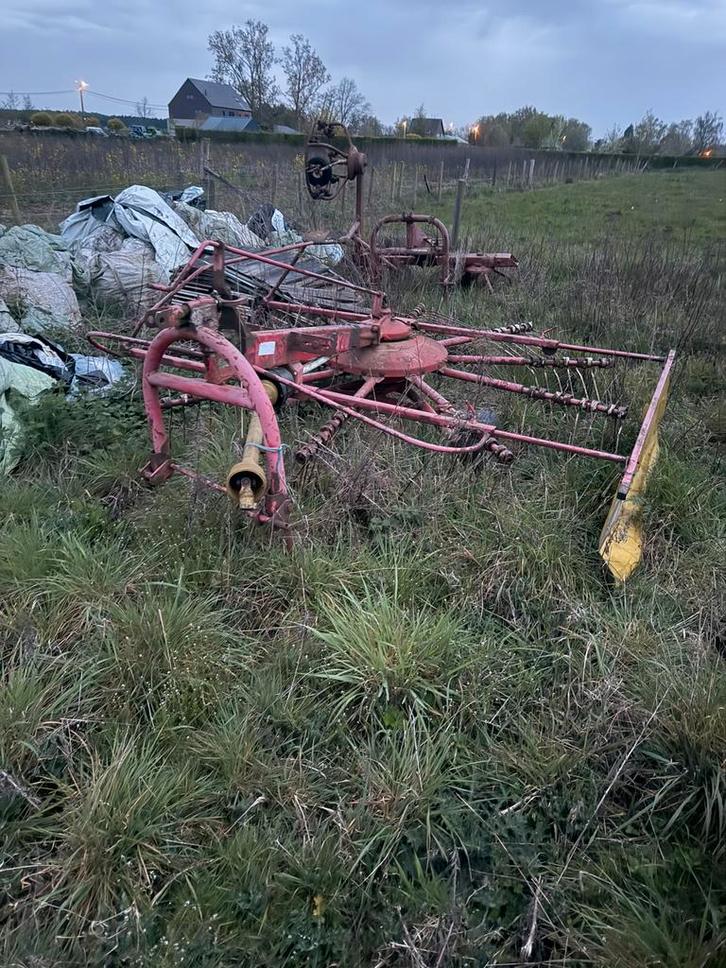 hooischudder 3 stuks moete dringend weg, Dieren en Toebehoren, Overige Dieren, Geslacht onbekend, Augustus