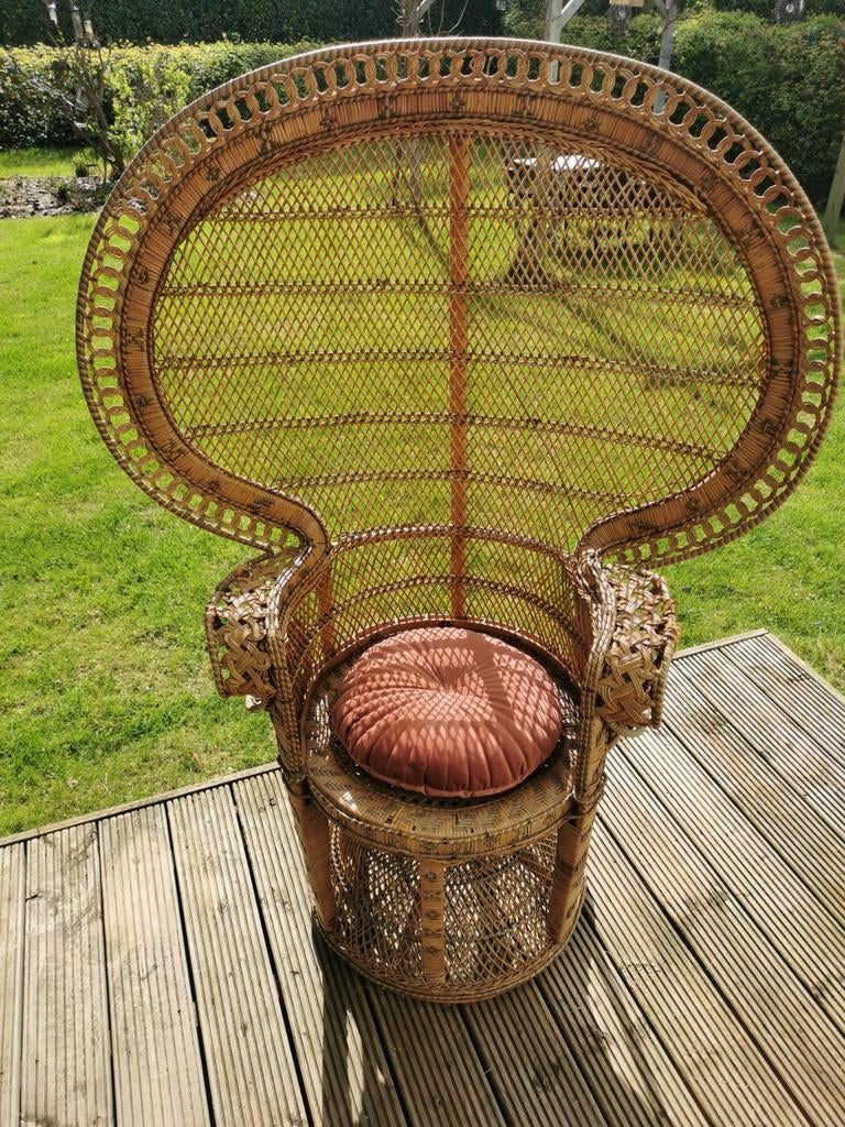 Pauwstoel, prachtig model uit de jaren 70, Ophalen