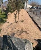 Paillage Myscanthus jardin, massifs floraux, verger, Articles professionnels, Enlèvement, Autre