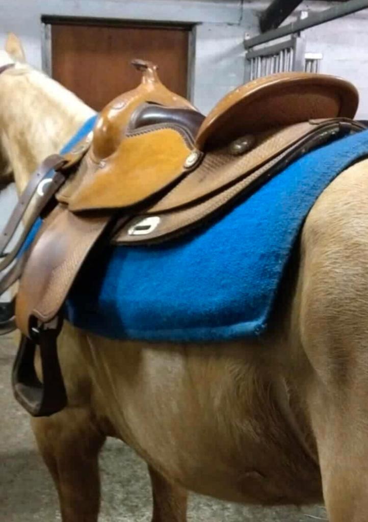 Continental western zadel, Dieren en Toebehoren, Paarden en Pony's | Zadels, Gebruikt, Western, Ophalen