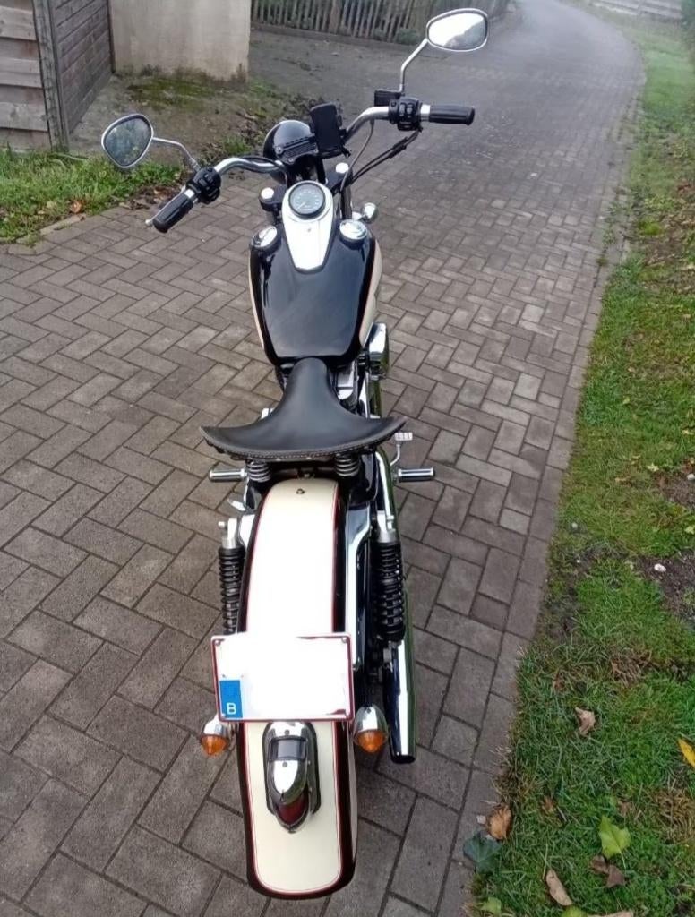 Harley davidson, Motoren, Particulier