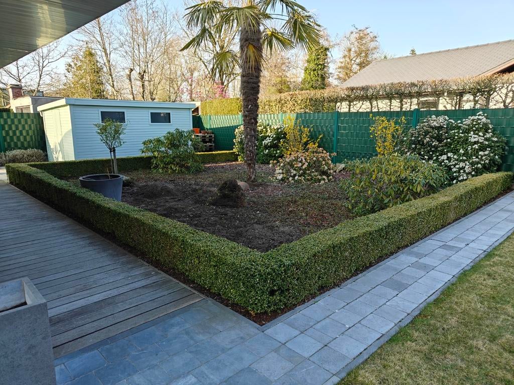 Buxus, Tuin en Terras, Ophalen