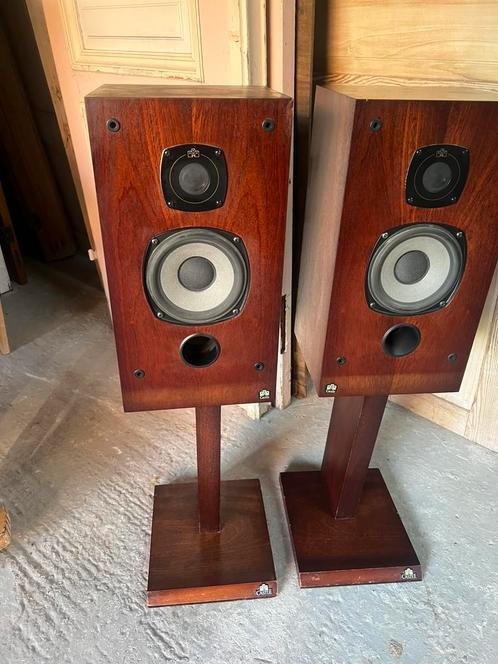 Boxen op voet castle warwick, Audio, Tv en Foto, Luidsprekerboxen, 60 tot 120 watt, Ophalen
