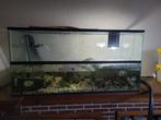 Aquarium + filter - schildpad, Dieren en Toebehoren, Ophalen of Verzenden, Zo goed als nieuw, Gevuld zoetwateraquarium