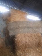 Hooi en stro, Dieren en Toebehoren, Dierenvoeding, Ophalen