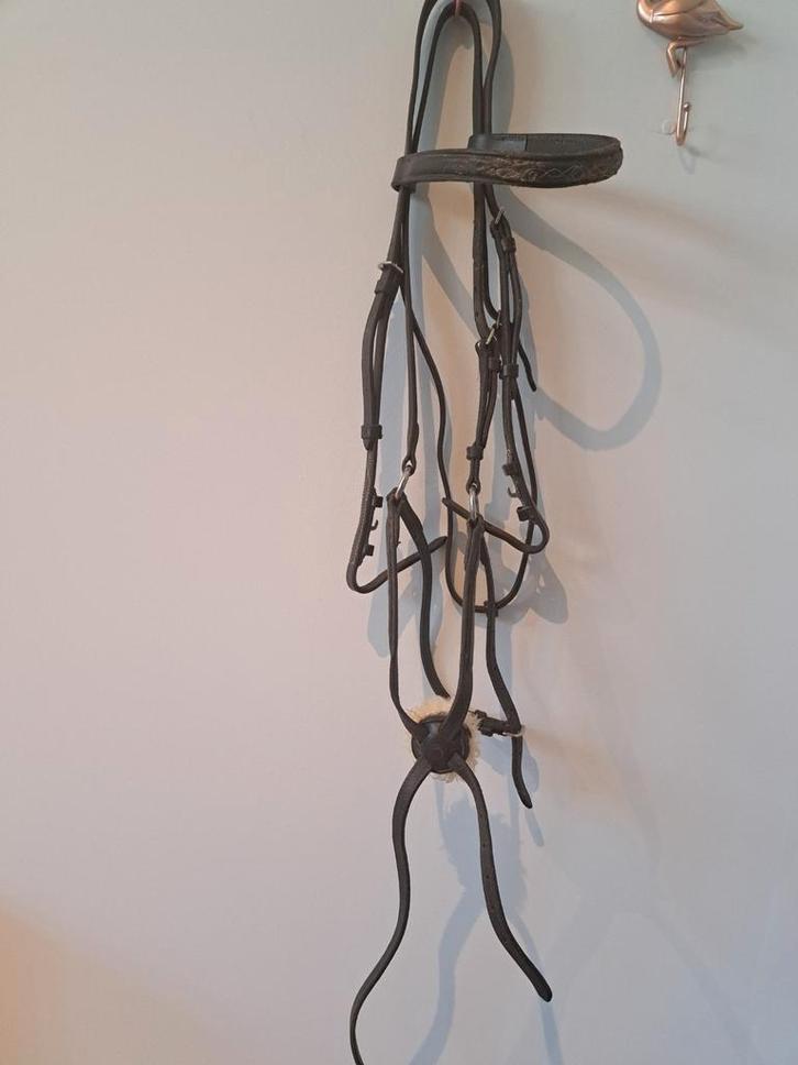 Des trucs pour chevaux, Animaux & Accessoires, Chevaux & Poneys | Couvertures & Couvre-reins, Enlèvement ou Envoi