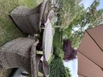 Teak tuintafel + 6 Wicker stoelen, Tuin en Terras, Tuinsets en Loungesets, Ophalen, Gebruikt, Hardhout, 6 zitplaatsen