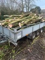 Brandhout wilg 2 m lang, Moins de 3 m³, Enlèvement, Autres essences de bois, Troncs d'arbres