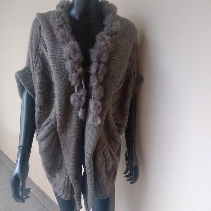 Zeer Mooie dames pull., Kleding | Dames, Truien en Vesten, Gedragen, Verzenden