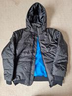 Winterjas B&C Collection maat Large, Enlèvement ou Envoi, Neuf