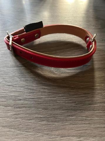 Petit collier pour chien, Enlèvement ou Envoi, Neuf