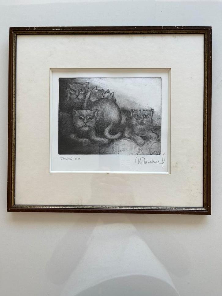 Potlood ets 5 katten werk Willy Bosschem, Antiek en Kunst, Kunst | Tekeningen en Fotografie, Ophalen of Verzenden