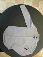 Hemd RALPH LAUREN, Kleding | Heren, Overhemden, Overige kleuren, Halswijdte 38 (S) of kleiner, Ralph Lauren, Ophalen of Verzenden