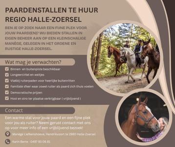 Stallen te huur regio Halle-Zoersel, Mise à l'étable, 4 chevaux ou poneys ou plus