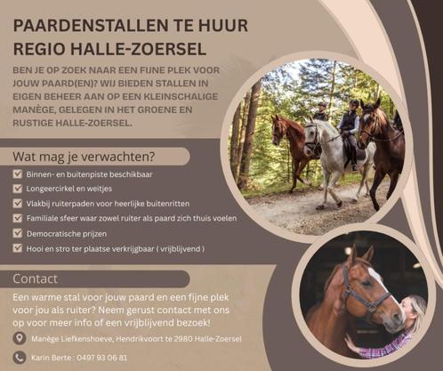 Stallen te huur regio Halle-Zoersel, Dieren en Toebehoren, Stalling en Weidegang, Stalling, 4 paarden of pony's of meer
