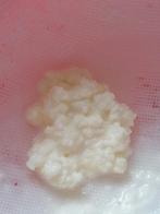 Melk kefir roosjes, starter, Diversen, Levensmiddelen, Ophalen