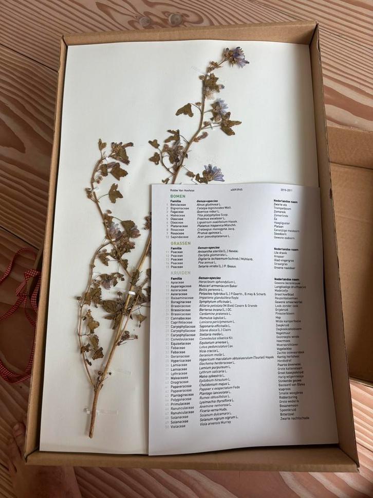 Herbarium 50 planten, Huis en Inrichting, Woonaccessoires | Lijsten, Zo goed als nieuw, Ophalen