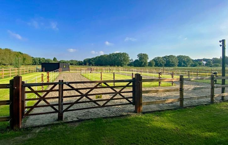 Unieke Paardenweide: Volledig Uitgerust en Instapklaar, Dieren en Toebehoren, Stalling en Weidegang, Weidegang, 2 of 3 paarden of pony's