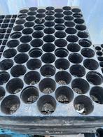 stekplaat plantplaat zaaiplaat 73 plantgaten, Enlèvement ou Envoi, Moins de 25 cm, Synthétique, Utilisé