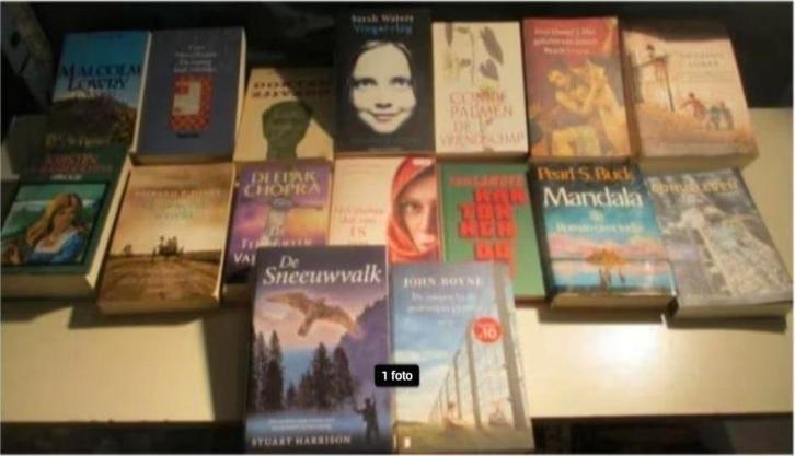 16 Prima Nederlandstalige Romans, Boeken, Romans, Zo goed als nieuw, Ophalen of Verzenden