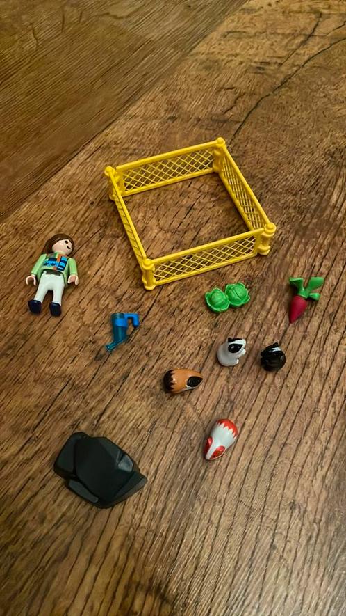 Playmobil Fille aux cochons d'inde - 4794, Enfants & Bébés, Jouets | Playmobil, Comme neuf, Ensemble complet, Enlèvement ou Envoi