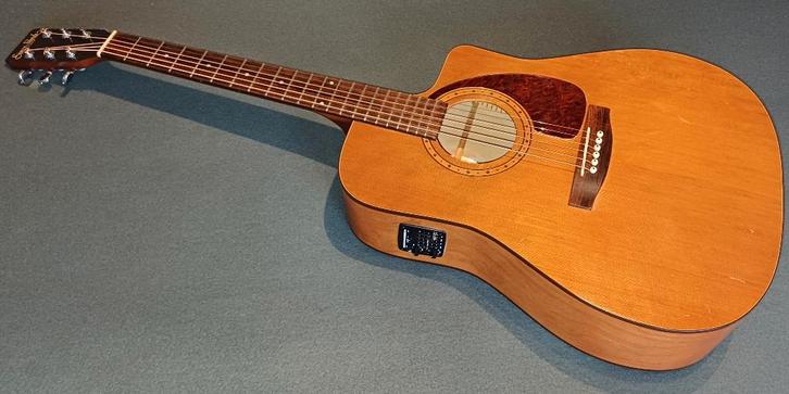 Simon et Patrick sp 6 cw Cedar 2003, Musique & Instruments, Instruments à corde | Guitares | Acoustiques, Enlèvement