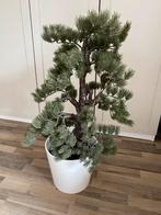 Banzai Feja Ikea kunstplant, Ophalen, Zo goed als nieuw