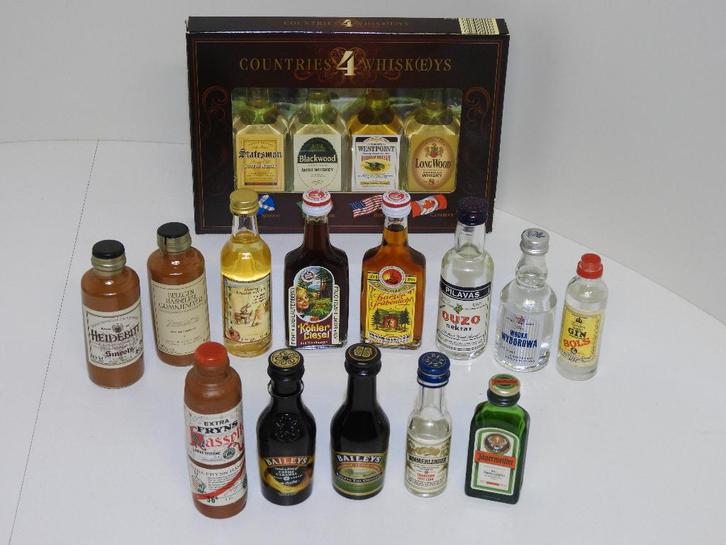 Sterke Drank Verzamel Flesjes, Collections, Vins, Enlèvement ou Envoi