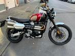 Triumph scrambler 1200 xc gold line, Motoren, Motoren | Triumph, 2 cilinders, Motorrijbewijs A, Particulier, Toermotor