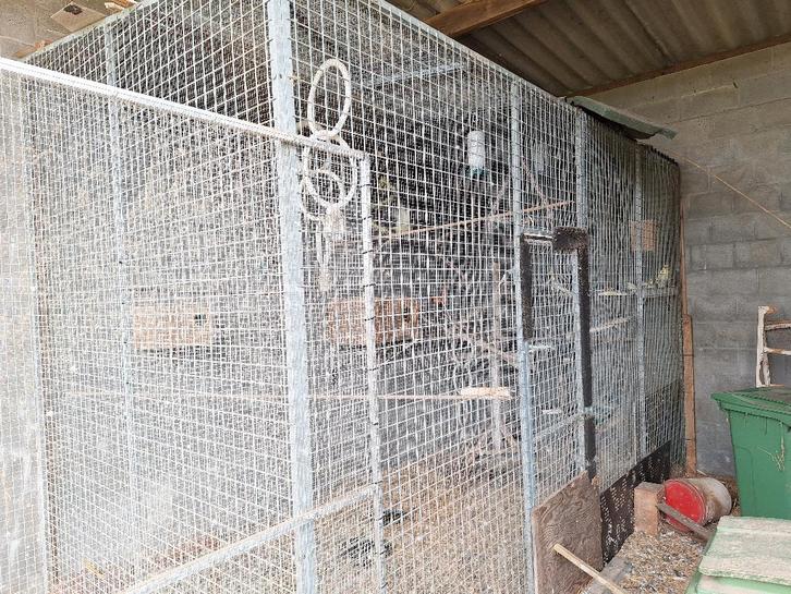 Voliere panelen, Dieren en Toebehoren, Vogels | Hokken en Kooien, Gebruikt, Overige typen, Overige materialen, Ophalen