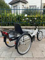 Tricycle électrique Tri - Bike état neuf, Vélos & Vélomoteurs