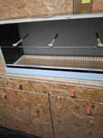 Nieuw vogelkooi, Ophalen, Nieuw, Hout, Vogelkooi