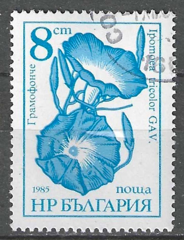 Bulgarije 1986 - Yvert 3024 - Ipomoea tricolor (ST), Postzegels en Munten, Postzegels | Europa | Overig, Bulgarije, Verzenden