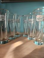 6 tuborg glazen, Verzamelen, Ophalen, Zo goed als nieuw