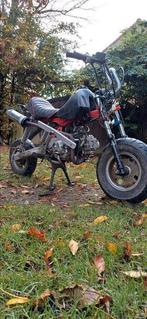 Dax/monkey 50cc, Fietsen en Brommers, Ophalen